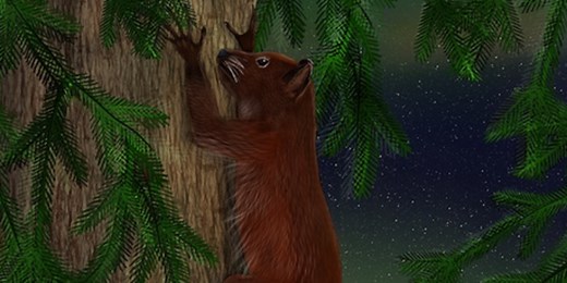 Fossils show primate-like creatures lived in Arctic 52 million years ago