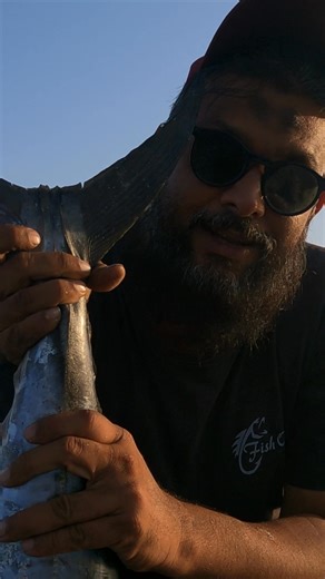 26K views · 526 reactions | For Orders 03433482117 #prawnscurrychallenge #fishmarketkarachi #fypシ゚viralシ #fishmarket #fypchallenge #karachifishing #karachi #surmai #kingmackerel #bigfish #onlineseafood #seafood #seafoodlovers #seaview | Qasim Ocean Feast | Facebook