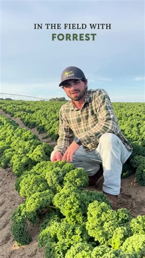 WP Rawl on Instagram: "Ever wondered how our Kale grows? Our Harvesting Coordinator, Forrest, gives us all the details behind our Kale planting process🥬🚜"