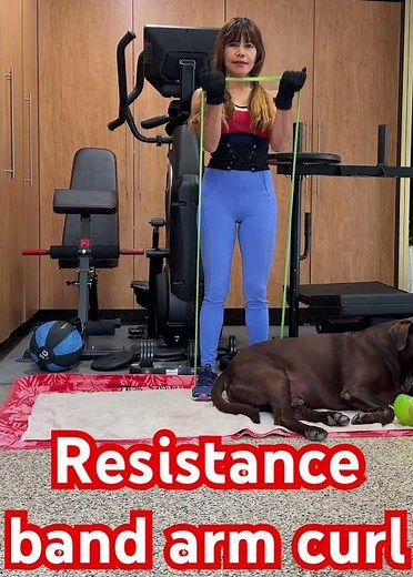 Resistance band arm curl