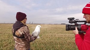 7.7K views · 73 reactions | It's your LAST CHANCE to enter the Pattrn #EarthFilmChallenge! Filmmakers with a passion for the planet could win $10k and be featured on The Weather Channel 朗 More info: pattrn.com | The Weather Channel | Facebook