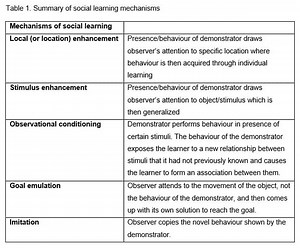 Mechanisms of social learning