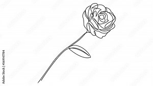 animated continuous single line drawing of a rose, line art animation