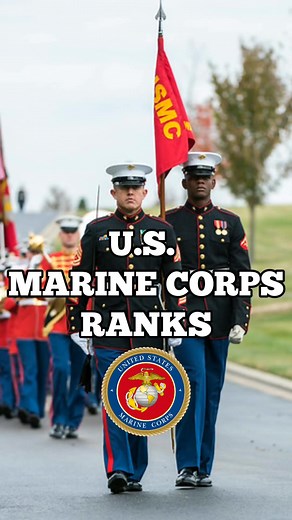 U.S. MARINE CORPS RANKS #usmarines