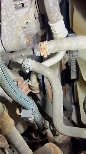 Locking hose clamp pliers