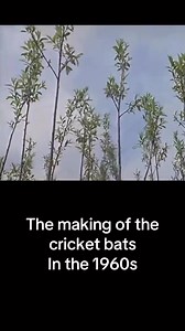 #fyp #reels #trendingvideo #allthingsrolling #1930s #1940s #1950s #1960s #1970s #cricket #cricketlovers #cricketbat | Allthingsrolling
