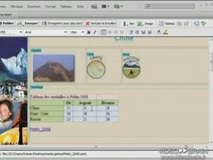 Adobe Contribute : Intégration d'éléments Microsoft Office