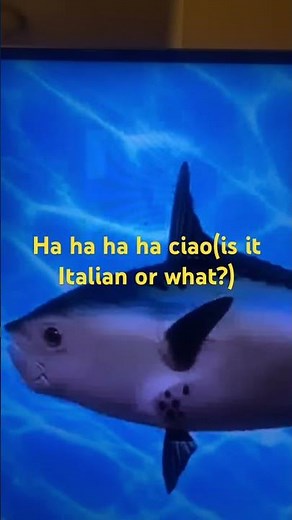 SpongeBob intro fandub Persian glory entertainment