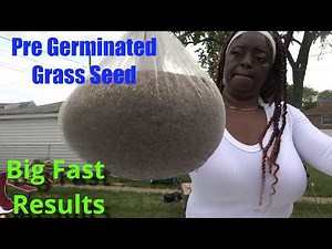 Pre-Germinate Grass Seed for Thick, Greener Lawn FAST Ultimate Guide to Quick Grass Seed Germination