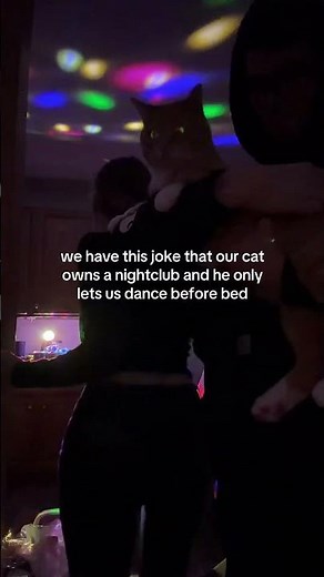 VIP Nightlife Adventure: Living It Up at the Club #Nightclub #VIP