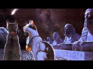 EGYPT: the myth of the CAT