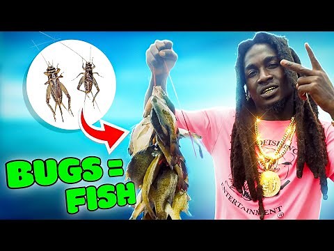 Catching fish with CRICKETS!!! (CRAZY)