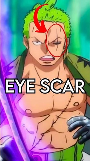 How Zoro got his Eye Scar | One Piece