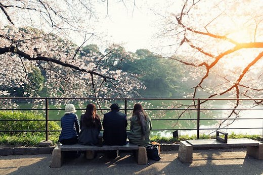 Tokyo's 10 best parks and green spaces: stroll through beautiful garden scenery - Lonely Planet