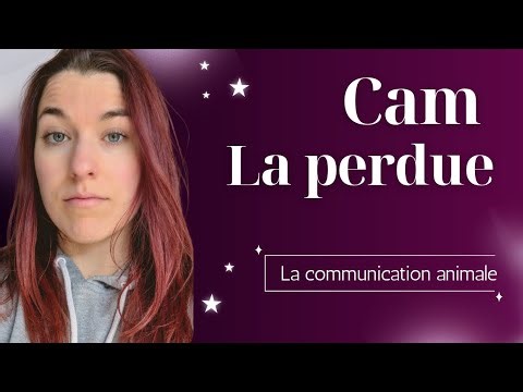 La communication animale, c'est quoi et comment?