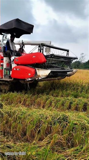 Kubota come bine harvastar dhan katna wala machin Kubota high speed cutting