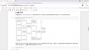 自然语言处理实验演示 - 28. TF-IDF 表示法