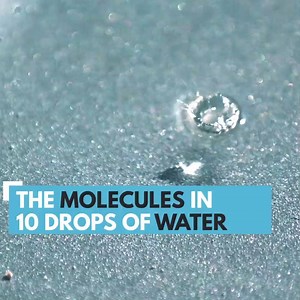 16K views · 138 reactions | How much do you know about water? | Life Noggin | Facebook