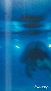 PISCES MERMAID | Prettierr Trice Coney