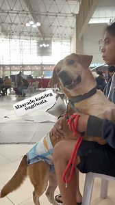 543K views · 10K reactions | Hirap magtiwala haha | Team Fifi | Facebook