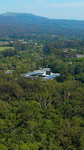 83K views · 2.1K reactions | We’ll see you Australia Zoo! | Bindi Irwin | Facebook