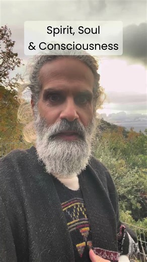 Understanding Consciousness, Spirit, and Soul Distinctions