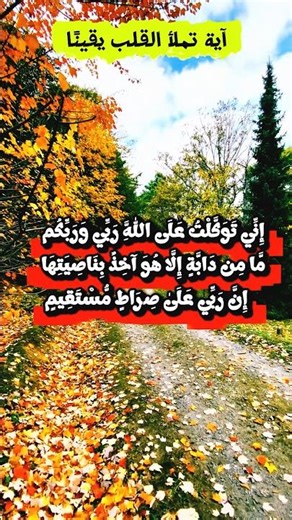 Trust in Allah | التوكل على الله رب العالمين