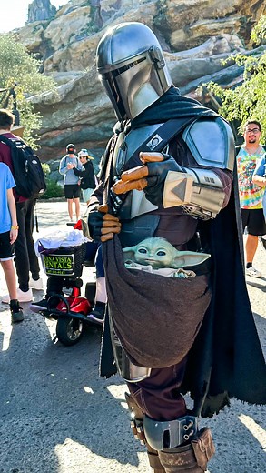 I can’t not think of it when I see it lol When looking at the millennium falcon, go to the left side and see if you can’t spot the mini falcon! Just a little hidden detail that I just love. #mandalorian #grogu #babyyoda #minifalcon #millenniumfalcon #hansolo #maythesith #starwarsday #starwars #chewbacca #smugglersrun #galaxysedge #wdw #waltdisneyworld #hollywoodstudios | Fantastical Vacations by Monika