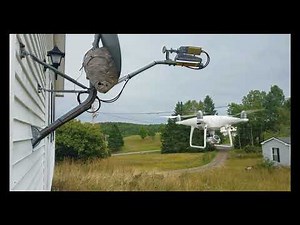 Drone vs Bald Faced Hornets
