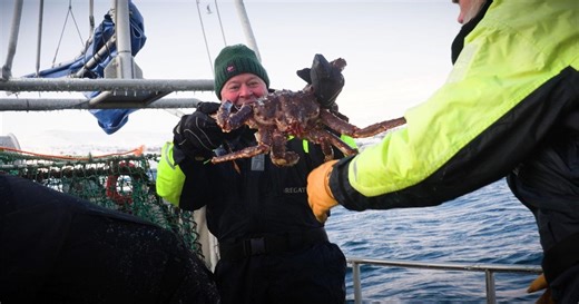 People of the North | Austevoll / Barentshavet: Snow Crab in Arctic Waters | Season 3 | Episode 308