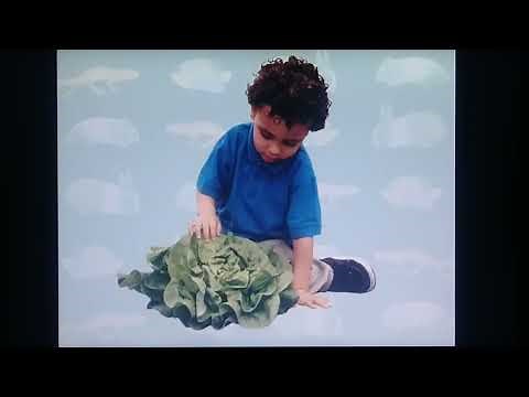 Elmo's World Quiz Episode 23: Pets