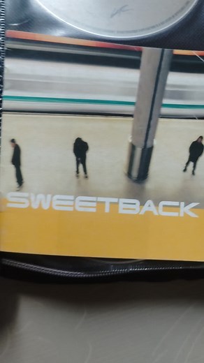 Sweetback - You will rise