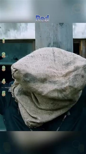 Adams Movies on Instagram: "Red 2 2013 ‧ Action/Comedy ‧ 1h 56m RED 2 is a high-energy action comedy that reunites retired CIA agents Frank Moses and Marvin Boggs for another explosive adventure. Frank is trying to live a quiet life with his partner Sarah, but peace doesn’t last long when a decades-old secret weapon called Nightshade resurfaces. Hunted by assassins, government agencies, and old enemies, Frank is forced back into action. The team travels across the globe — from Paris to London to