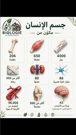 Le savais-tu ? Le corps humain est une véritable merveille ! 🌍🧬 #apprendre