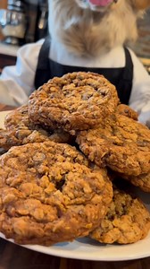 Pawrents said I’ll have the house to myself once i make dem cookies… Gonna poop on their couch hehe #gourmet #gourmetfood #foodie #goldenretrieverlovers #doglovers #doglife #chef #dogstagram #dog #golden | Cooking With Badger