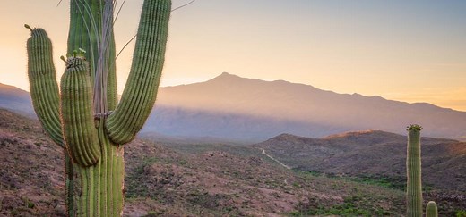 Rincon Mountains | Coronado National Forest | Saguaro National Park | Visit Tucson