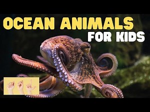 ASL Ocean Animals for Kids