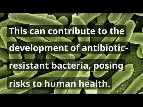 MEANING OF FACTORY FARMING IN GEOGRAPHY