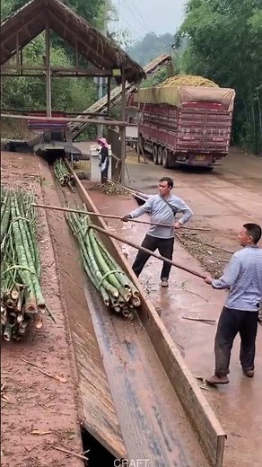 On-Site Bamboo Decomposition: Full Process