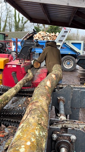 Understanding the Firewood Business in the UK