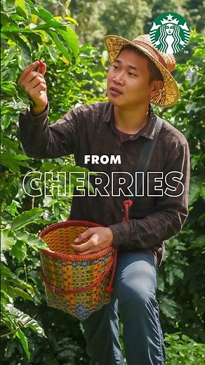 Your Coffee Beans: A Journey to Their Origin | Starbucks Coffee At Home