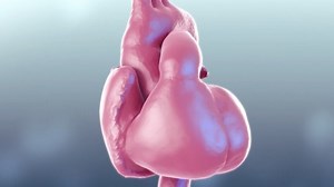 This Awesome Video Takes you on a Tour Inside the Human Heart