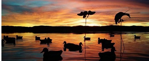 Illinois Duck Hunting: Guided Waterfowl Hunts For Duck & Goose | Heartland Lodge