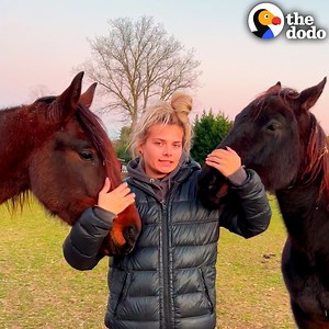 354K views · 12K reactions | Bonded rescue horses who couldn’t run help each other heal — now they gallop together in the pasture  | The Dodo | Facebook