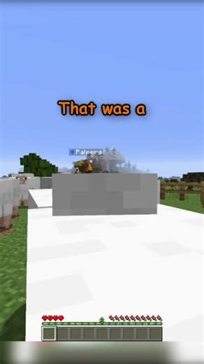 Tough Crowd in Minecraft Gameplay