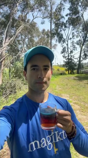 How long do palo azul's detoxifying effects last? This 2018 study (10.22038/NMJ.2018.005.0005) showed that palo azul's antioxidants act quickly as they’re ingested and then they’re slowly released for at least 70 hours! The researchers did a DPPH antioxidant test and found that palo azul was effective at scavenging free radicals for at least 70 hours. 📚 They found that