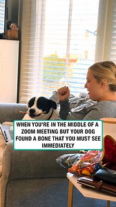 Mom, this is more important than work... | Furry Tails