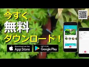 【無料！】水槽管理アプリ アクレコ！