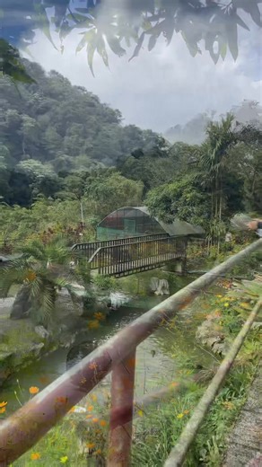 28 reactions · 7 comments | traveling : where my independence meets inner peace. #mycoachmoto | My Coach Moto | Facebook