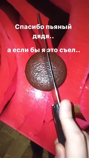 9️⃣9️⃣☑️🎰🫪 (@vsyakaya.fignya0)’s video of things i would eat if i could